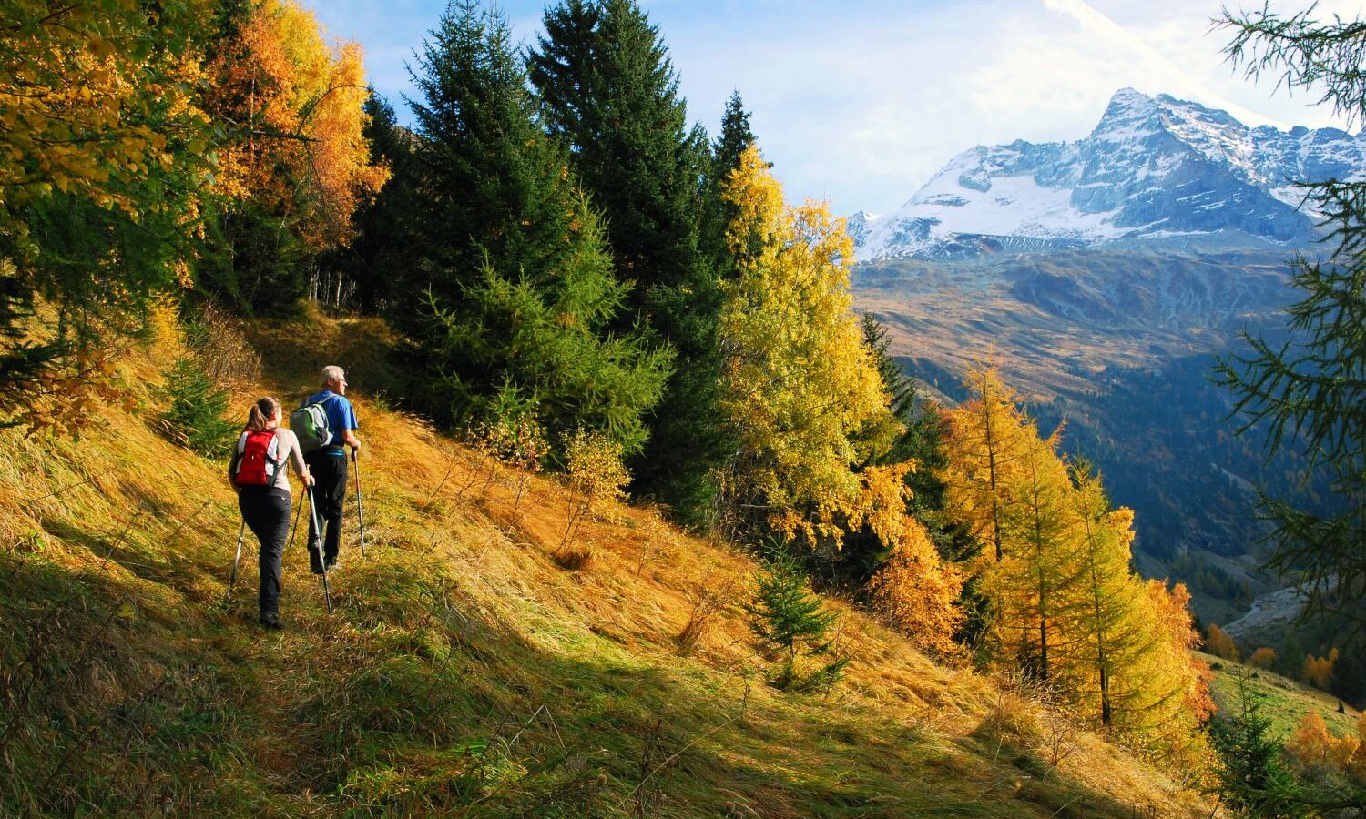 %28c%29 tvb wipptal 7gpmhc5vbm47zbe