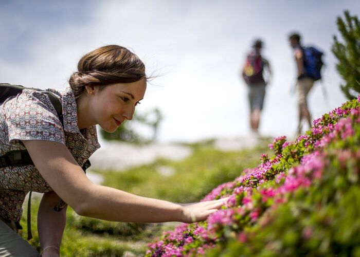 almrausch c lamm s0fya55n6kx3dz9