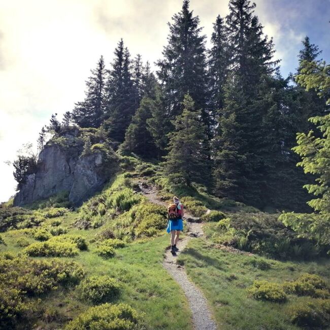 Wanderer vor einem Waldstück am Weg zum Gipfel des Brechhorns