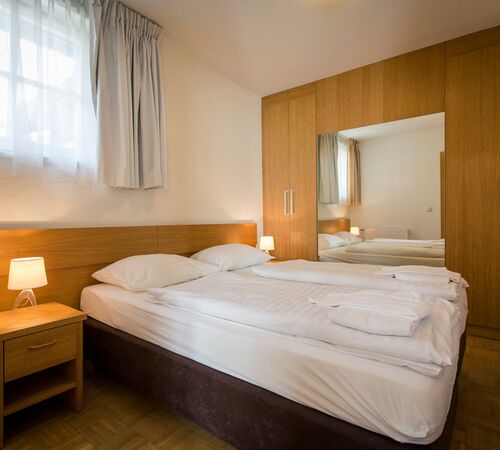 D ath a edelweiss 11 1017 02