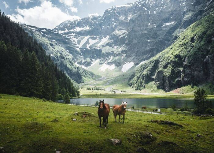 hintersee c daniel kogler mittersillplus 3 qnhqaxj1z6vq6ht