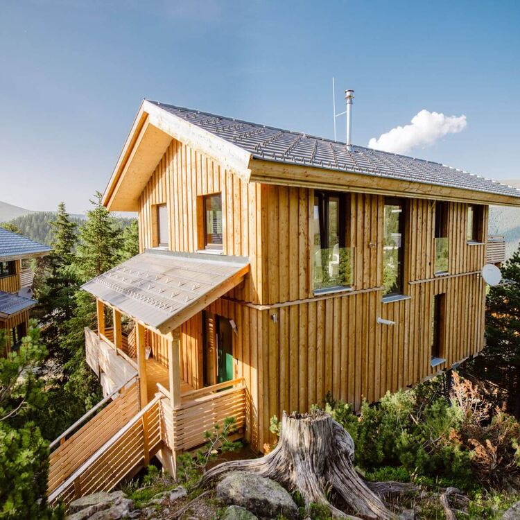 Chalet amidst the pine forest