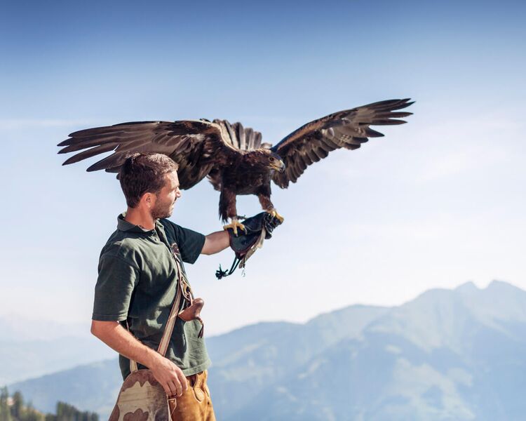 Falconer with golden eagle in front of a mountain backdrop