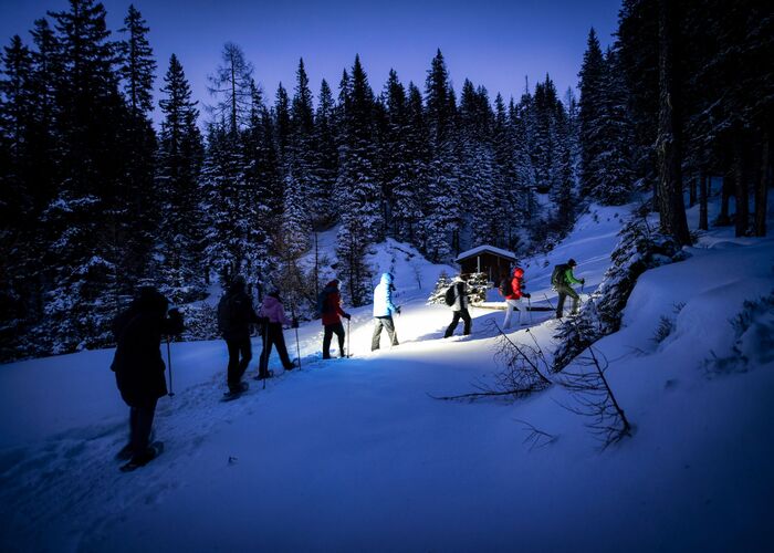 Gruppe bei einer Schneeschuhwanderung durch den verschneiten Wald während einer stimmungsvollen Vollmondtour in Rauris.