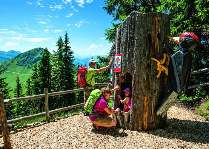 Alpinolino%28C%29SkiWelt Wilder Kaiser Brixental Christian Kapfinger 5de6ha6d34v8ms6