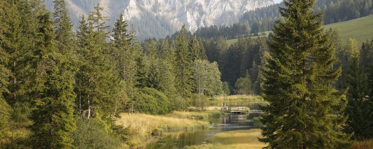 feriendorf hohentauern 9dv9q46pvcv7h2e