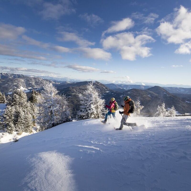 Snow-covered mountain panorama on the Frauenalpe in Murau, Styria, during a winter snowshoe hike.