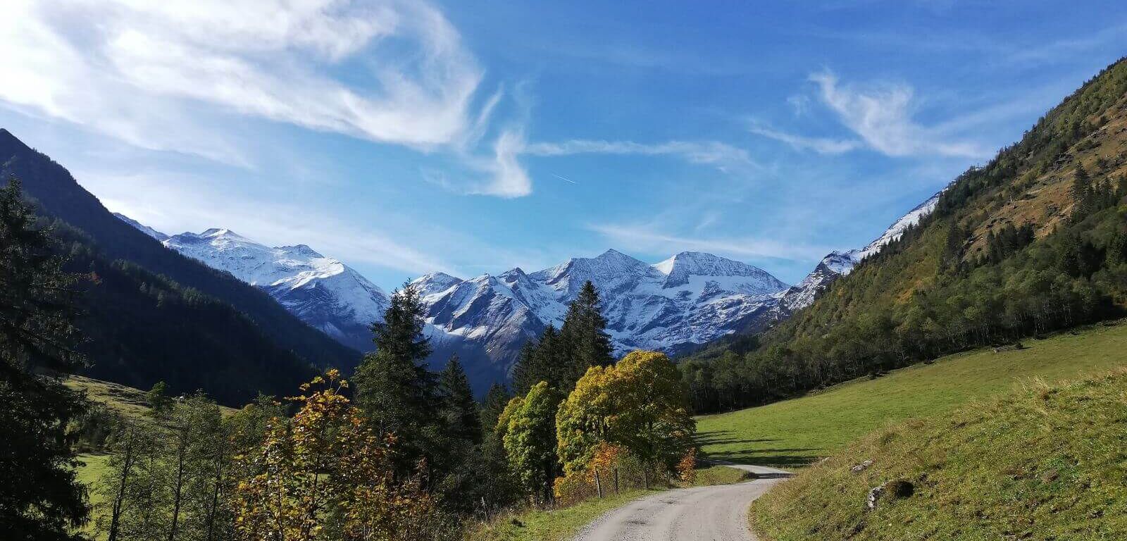 herbst kaefertal 022d5dd0