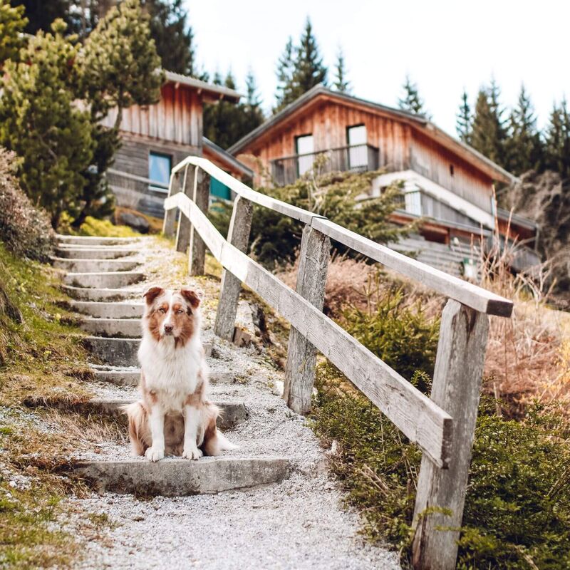 image00017 2rnhb9ge4wjcw7j