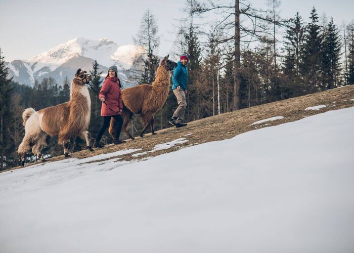 tza lamawandern c tza c jorda n0y5xh7fnmed25j