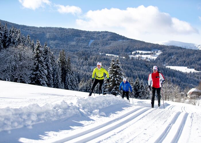 weirerteich  c tv murau tomlamm edzz0pr1k734grw