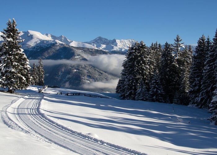 Loipe %28c%29%20TVB%20Wipptal 6kaz9xna27exkkm