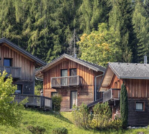 Ferienhäuser aus Holz direkt am Waldrand im Alpendorf Dachstein West in Annaberg