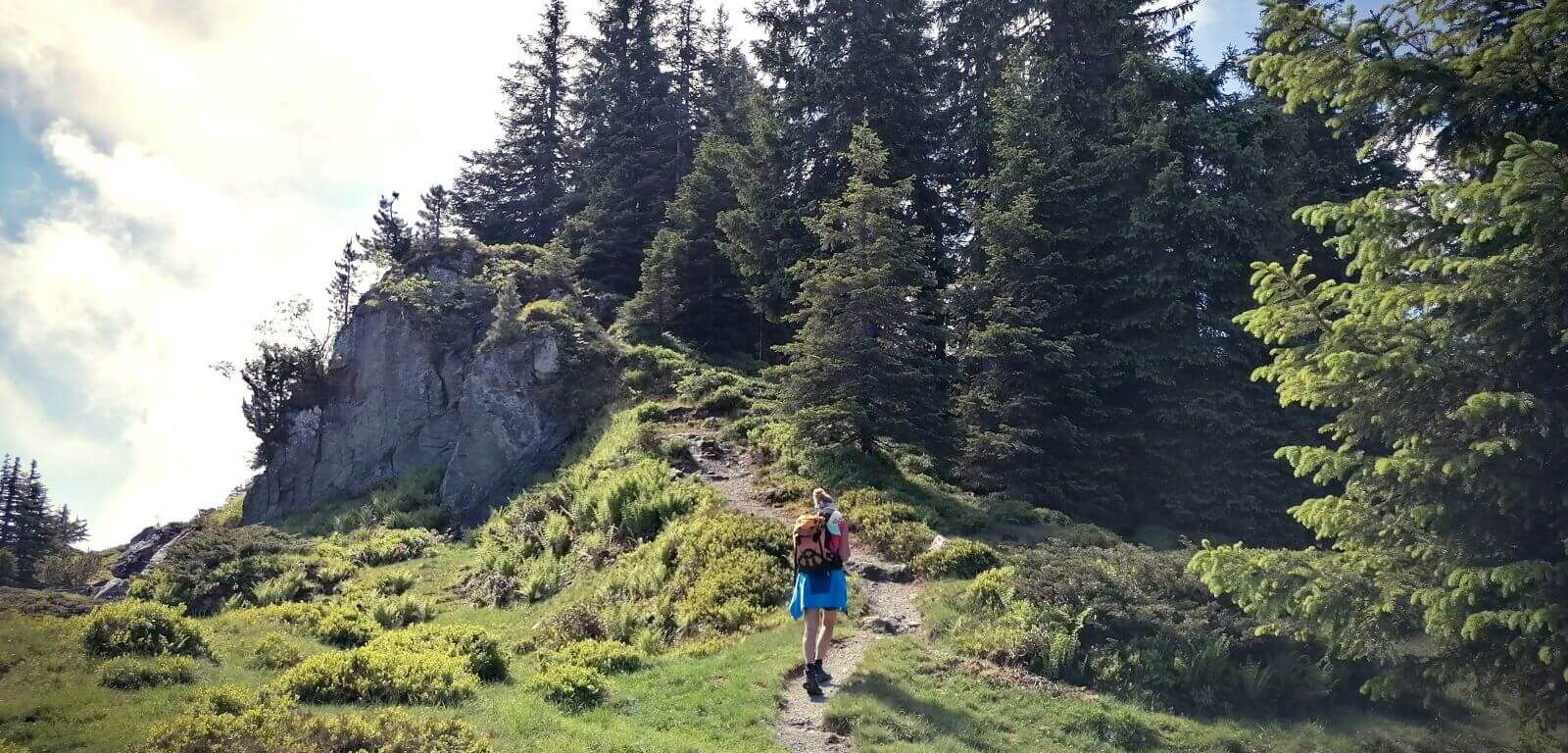 Wanderer vor einem Waldstück am Weg zum Gipfel des Brechhorns