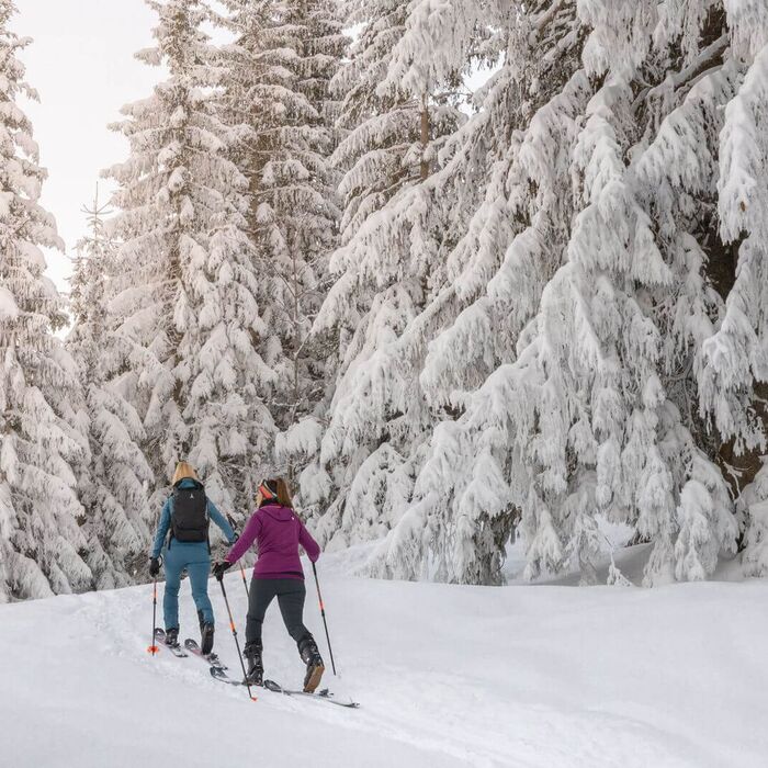 zwei Personen beim Skitouren gehen am Dachstein im Wald