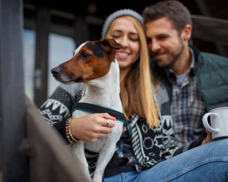 Paar genießt einen entspannten Urlaub mit Hund im Chalet und kuschelt gemeinsam auf der Terrasse.