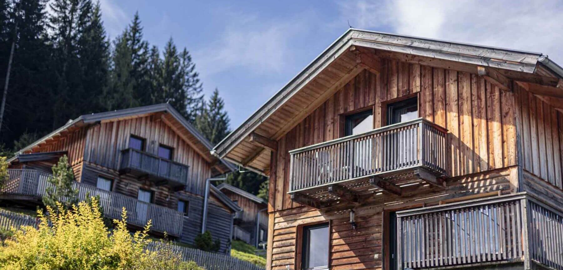 Alpendorf Dachstein West by ALPS RESORTS