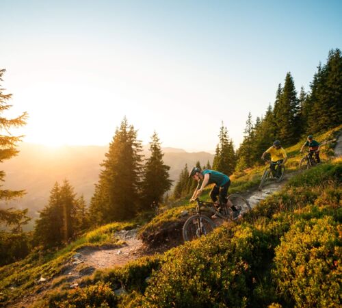 mountainbiking in Saalbach Hinterglemm  (c) saalbach.com