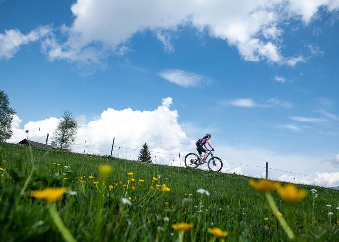 mountainbike fruehling kitzbuehel c kitzbuehel tourismus min hdn02qxntpdeaj8