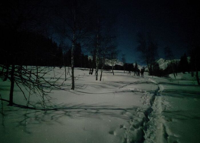 vollmondwanderung wasenmoos privat 8bcp5p7aeta80be