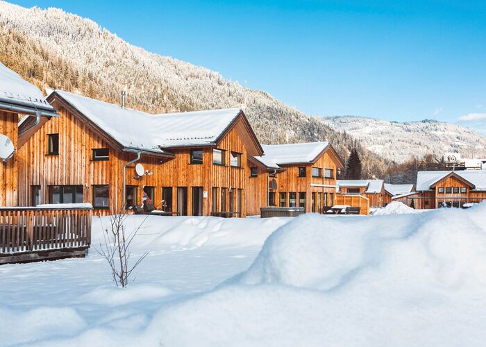  alps resorts 2101 29 twz9k5n5t3nxmxp