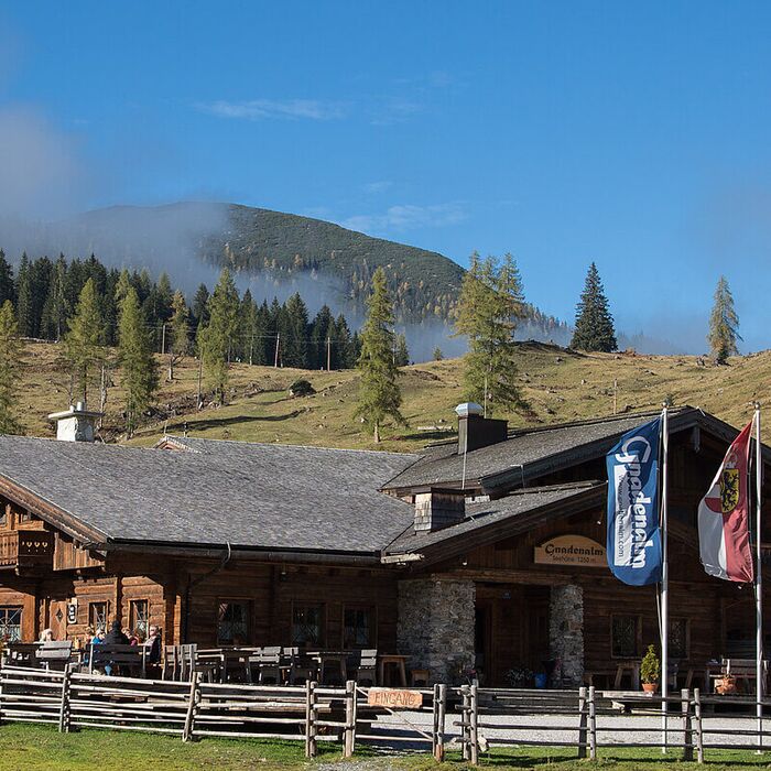 csm sommer gnadenalm tvb obertauern 9n47bhpdetv07k9