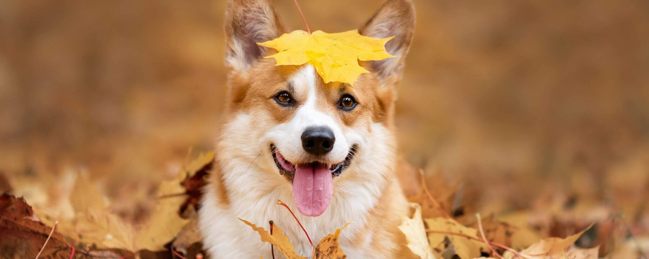 istock 1398810303 istock irina nedikova tx3yys7db4jep4e