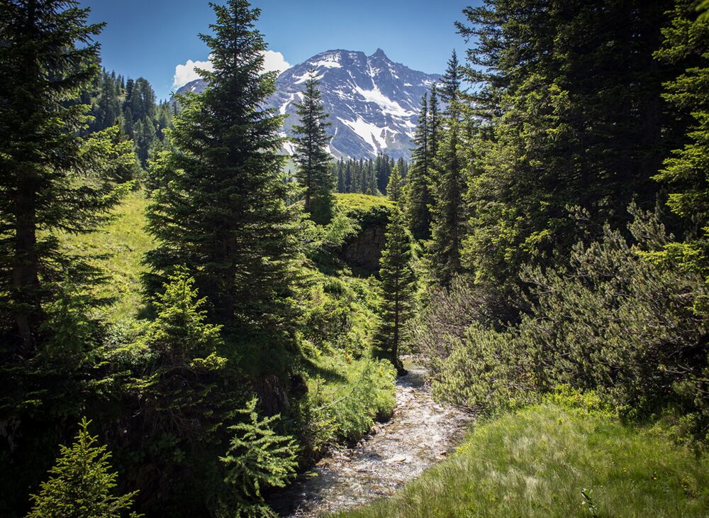 raurisertal urwald sonnblick bach%28c%29tvbrauris fotograf florian bachmeier 59da70e9