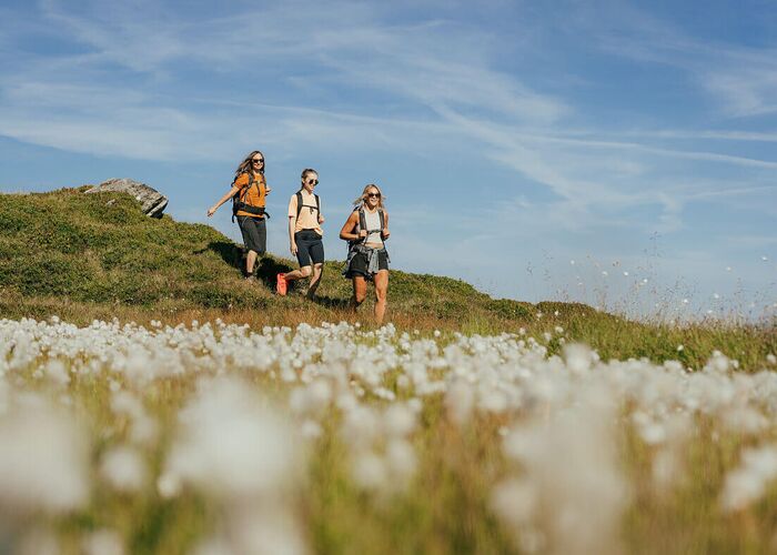 Hikers on Annaberg with a view of the mountains