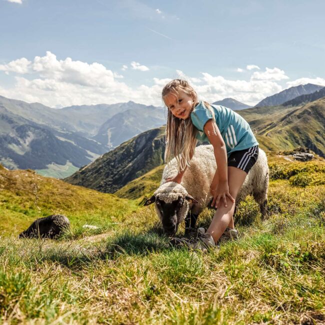 Hiking   Zillertal, Tyrol