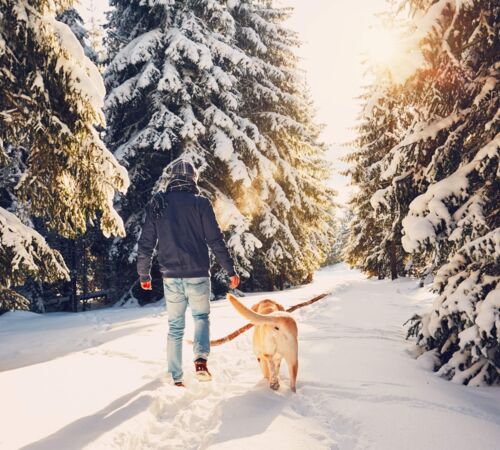 walking the dog in the snow (c) istock chalabala