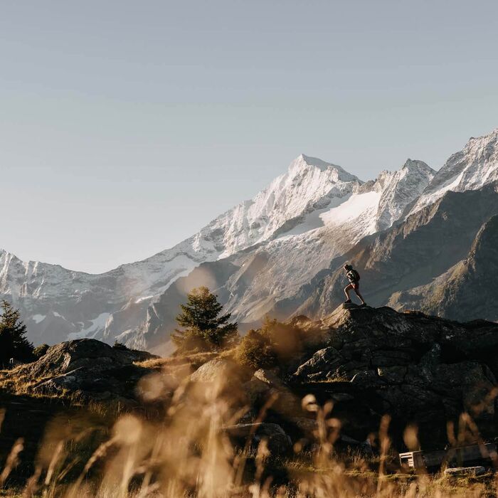 zillertal ahornspitze wandern c zillertal tourismus phillip geisler nmc07ht8eqge4gk