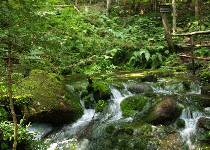 %28c%29natuapark zirbitzkogel grebenzen kgdks3ss5abxgaa