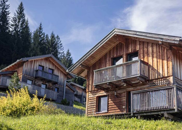 Alpendorf Dachstein West by ALPS RESORTS