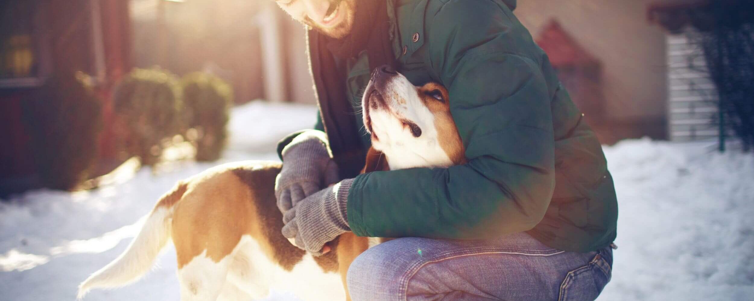 istock 587504758 istock aleksandar nakic 662fxx4ddwgzgt6