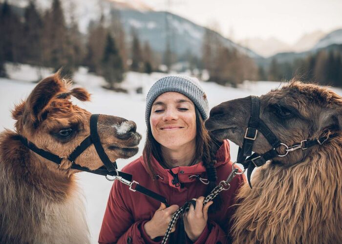 lamawanderun tiroler zugspitz arena c jorda zazs495v0jd5kjb