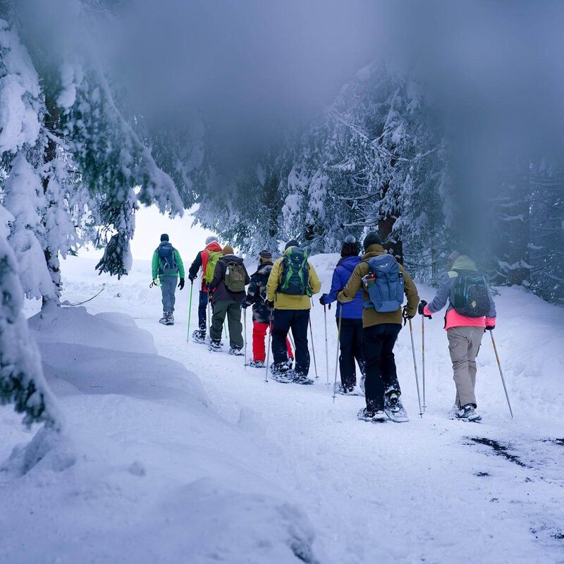 Winterwandeling © fkreidlglueck