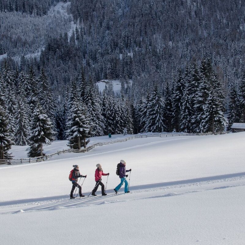 Three women enjoying a winter hike together through the snowy winter landscape in the Wipptal.