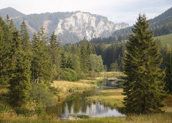 feriendorf hohentauern f1dhzp897fkng4p