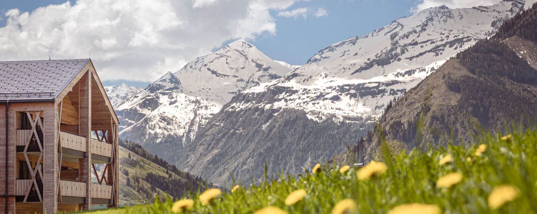 Alpine meadow with yellow flowers, snow covered mountain peaks and the Carpe Solem Rauris holiday homes featuring modern and traditional wooden balconies