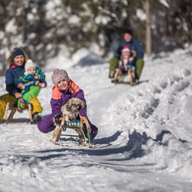 Child with dog on a sled while tobogganing