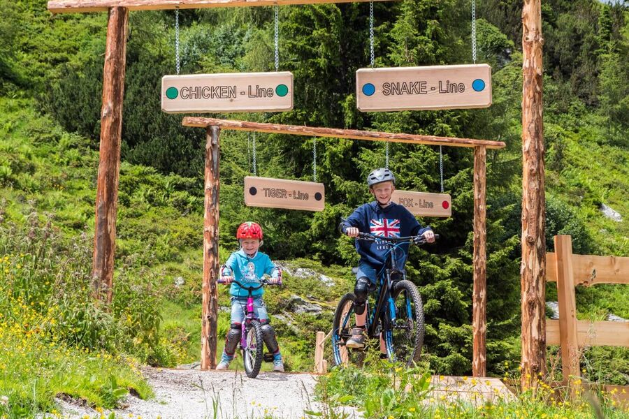 Schladming Dachstein Sommercard, Steiermark