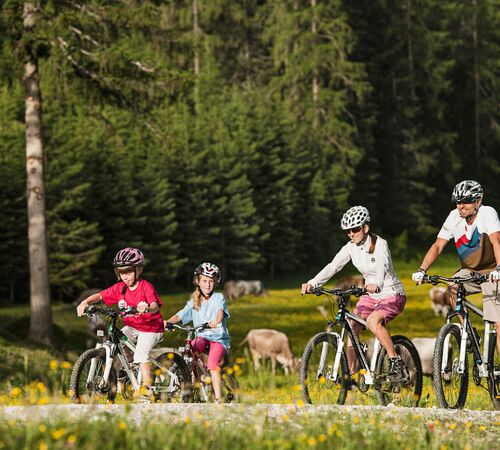 Bike Urlaub im Stubaital (c) Andre Schönherr