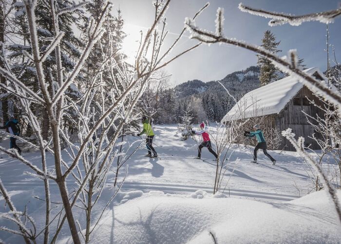 00000000664 Langlaufen am Weissensee %28C%29%20Martin%20Steinthaler 7tz7rs3r432qmnq