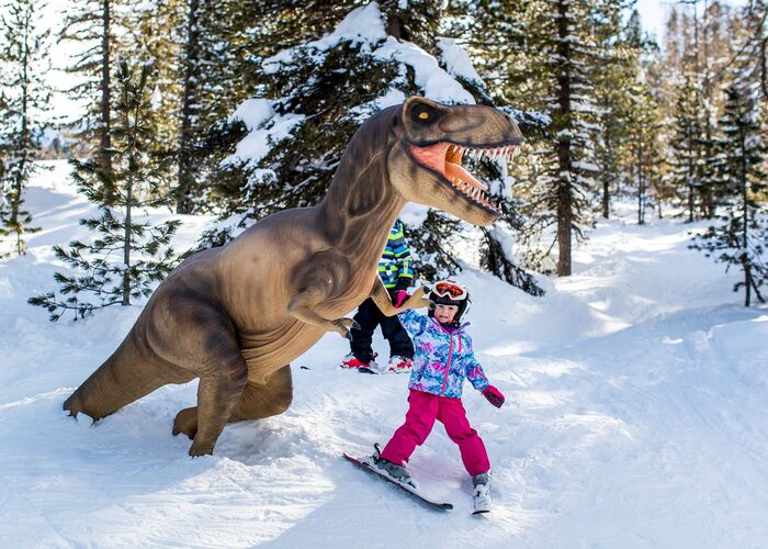 dinowald  c kreischberg tomlamm p2bpfh84pepdtp4