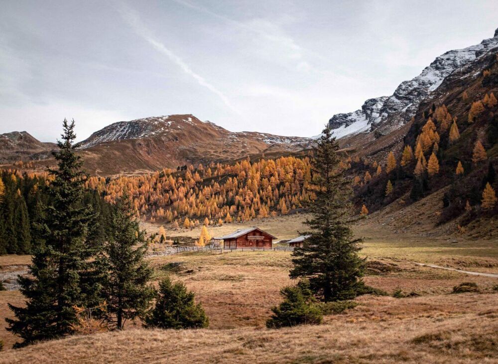 Almhütte unter dem Kolmkarspitz in Kolm Saigurn im Herbst