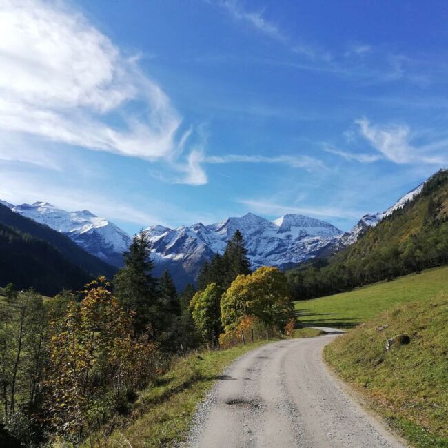 herbst kaefertal 16bf3932