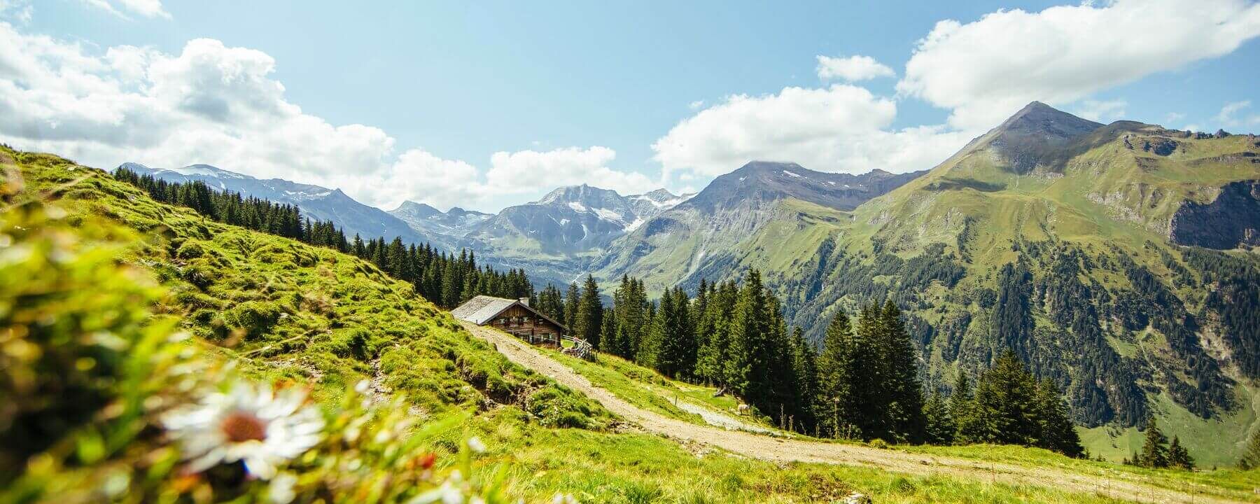 rs2746 t2 055 hpr salzburgerland tourismus mnqyg70wxzk19ja