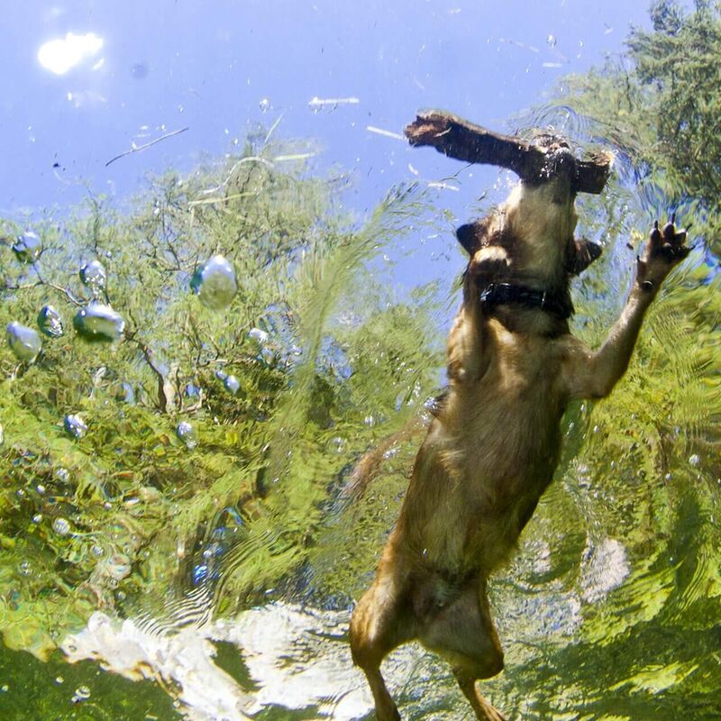 Tranquil Lake Weirerteich surrounded by natural landscape