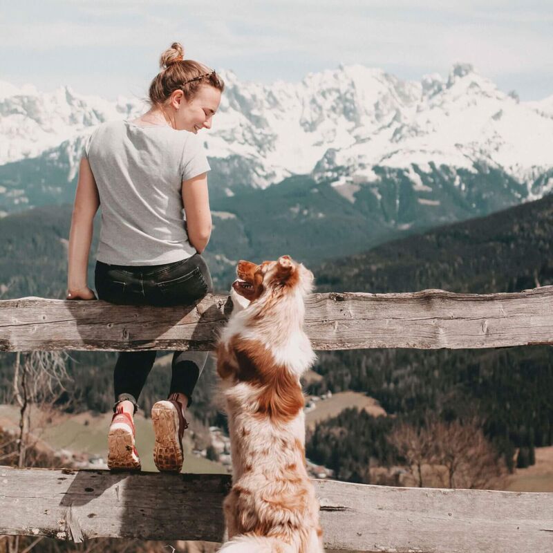 Hund und Frauchen bei einer gemeinsamen Wanderung in den Bergen.